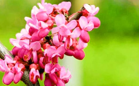 ���G���_����(6ƪ)