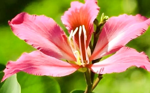 �����G������x��