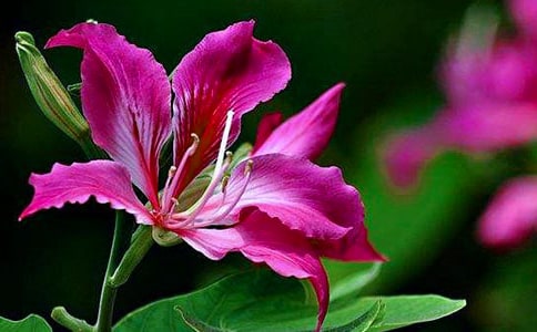 ���G���_��600��