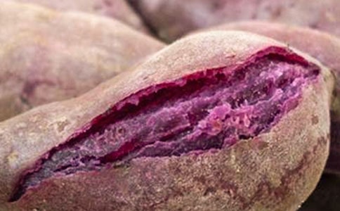 ��ʽ�����~茟�������