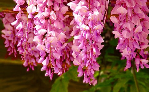 ���ٻ��_(k��i)��(y��u)������