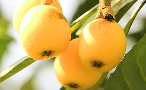 ���˘�����ͨ��15ƪ