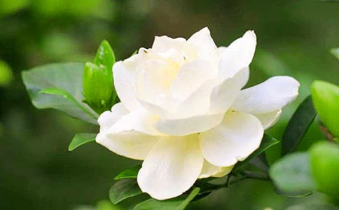 ����(y��u)�x���d�ӻ��_(k��i)����