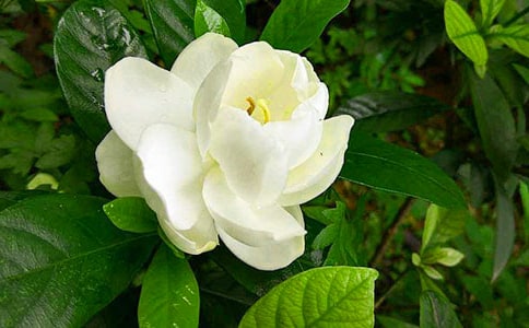 �d�ӻ��_���ı؂�(15ƪ)