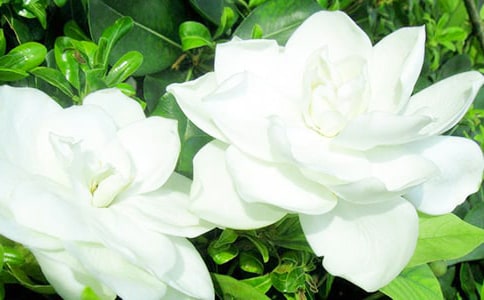 �d�ӻ��_����[��(j��ng)��]