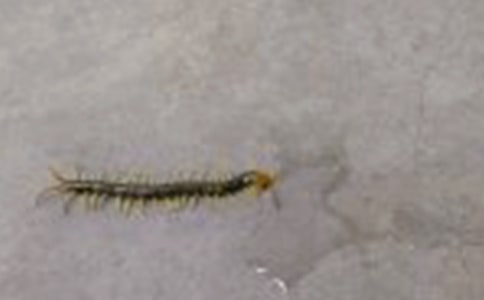 �^����ӛ-���