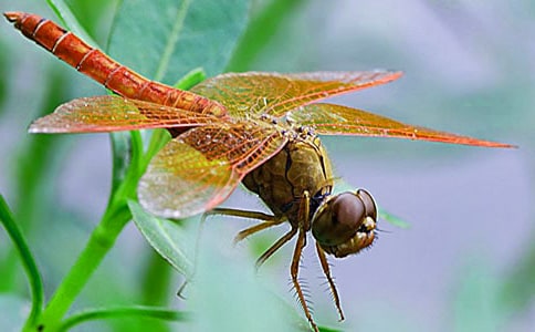 �茑���ѵ����ļ��ϣ�7ƪ��