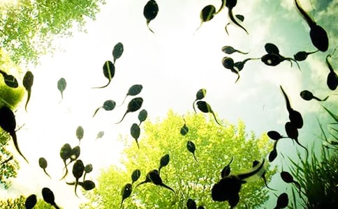 �¾�С����ҋ�������