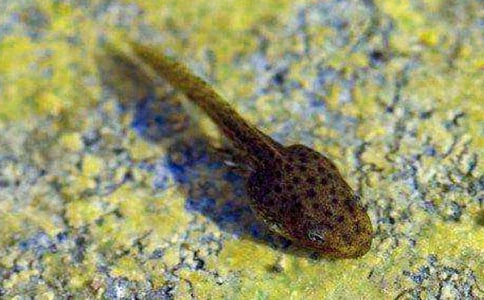 С�������400��