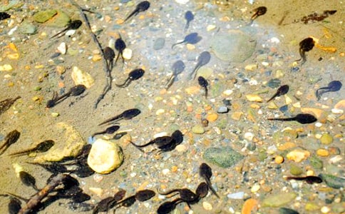 С����ҋ����n��