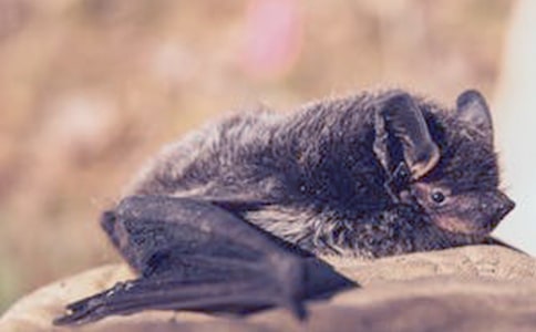 �P(gu��n)�ڴ���Ȼ�o��Ć�ʾ�����ģ���������_(d��)�Č�(du��)Ԓ