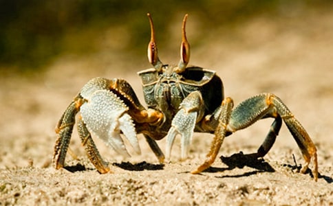 �茑(xi��)�з�����ģ����x45ƪ��