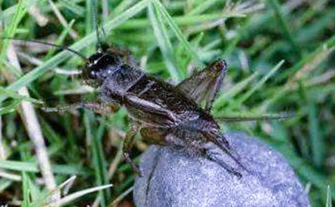 �������300��(��3ƪ)