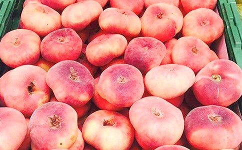 �O��������҈@��һ���Z