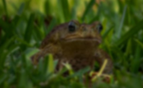 ��ܵ��B(y��ng)ֳ���g(sh��)