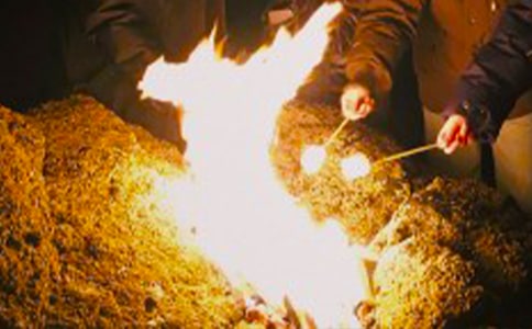 ��˾������������~