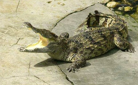 �{�~(y��)���ۜI��Ъ���Z(y��)