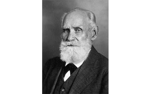 《巴甫洛夫很忙》讀書(shū)筆記