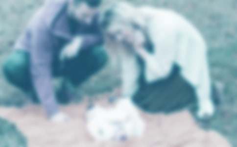 �ְ֋�������ò���ģ����x40ƪ��