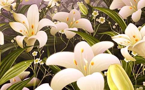 ����İٺϻ�����