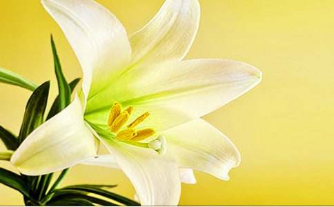 �ٺϻ����~