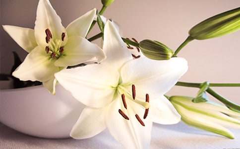 �ٺϻ��_���ģ����x26ƪ��