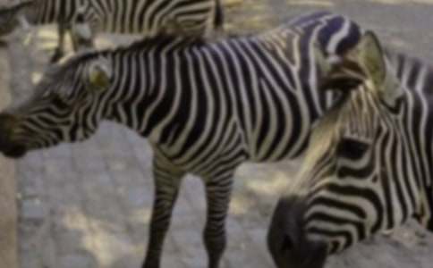 ���R���ϵ�����