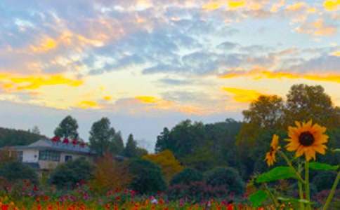 ��������400����ƪ