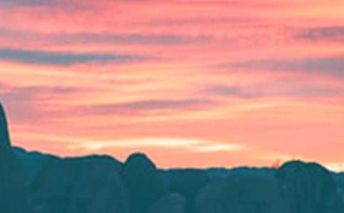 ����İ�������(���\11ƪ)