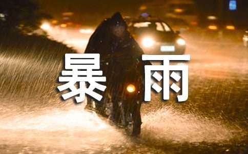 【熱門】暴雨作文300字7篇