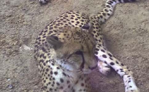 ���Ӻ;�������������