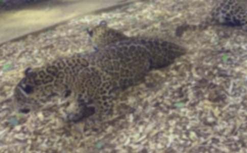 ���x��������500��4ƪ