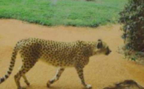 �P��؈���������꼉:�Һ�С����