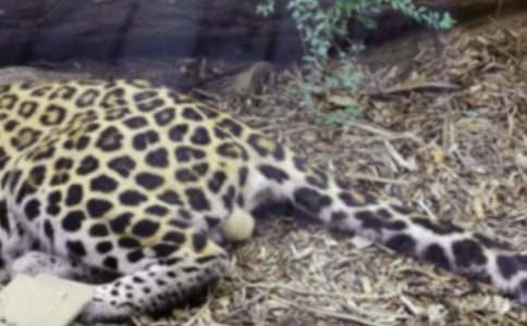 ����С�W(xu��)������