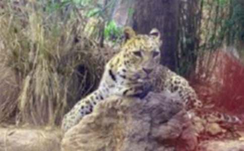 �����A����������500��3ƪ