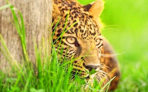 �����A����������500��4ƪ