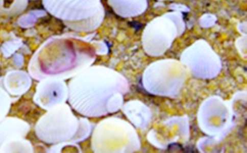 ��ϣ���ҵķ��g��ؐ����������