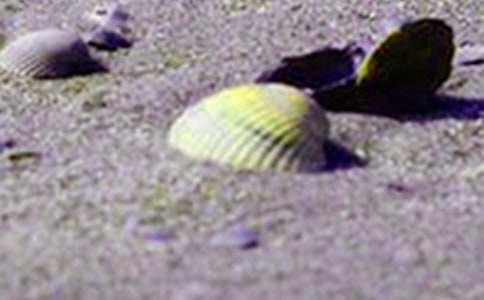 �茑(xi��)ؐ��������7ƪ