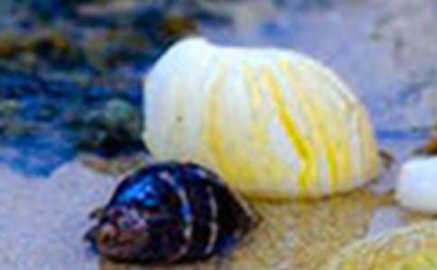 ��ؐ����Ԓ(hu��)�}����800�֣�ͨ��20ƪ��