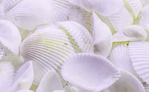 美麗的貝殼作文匯編13篇