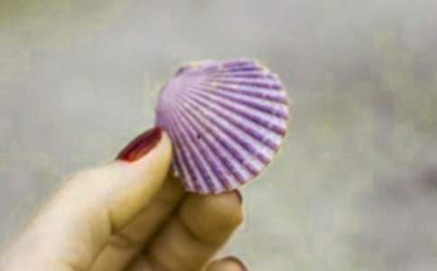 ؐ��������ͨ��15ƪ