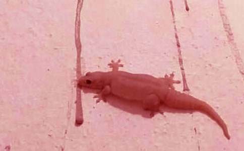 �P(gu��n)�ڱڻ��l(f��)�F(xi��n)����3ƪ