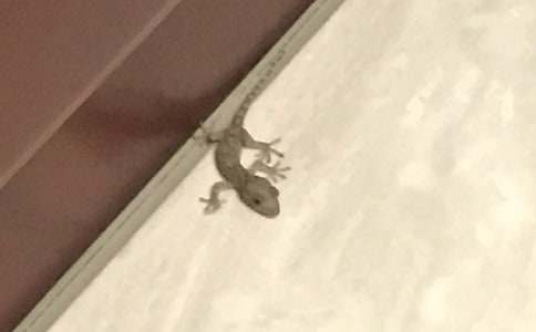 �ڻ��l(f��)�F(xi��n)���ģ�ͨ��30ƪ��