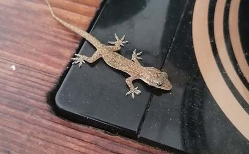 ����(sh��)�á��ڻ��l(f��)�F(xi��n)������ƪ