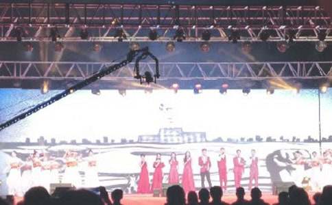 武術(shù)表演的作文