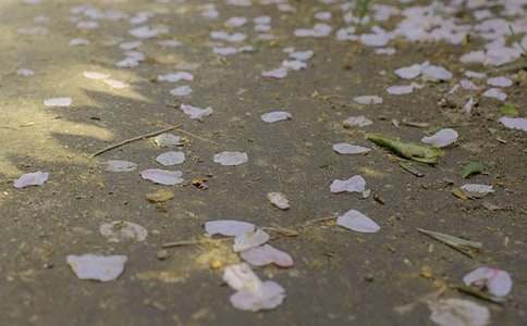 �P(gu��n)�ڱ�������300�֣����x75ƪ��