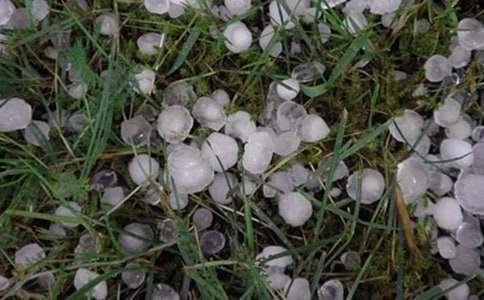 冰雹作文400字三篇