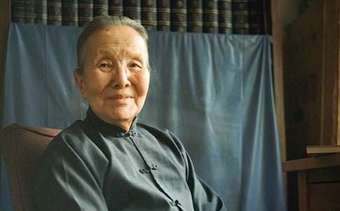 我見到了冰心奶奶小學(xué)作文