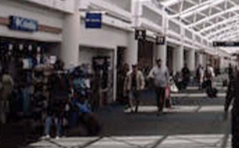 ���^�߲˲��[��(hu��)��������300��