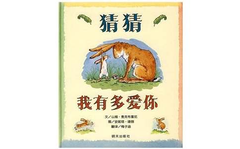 猜猜我有多愛你作文400字